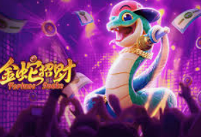 pg软件电脑免费版